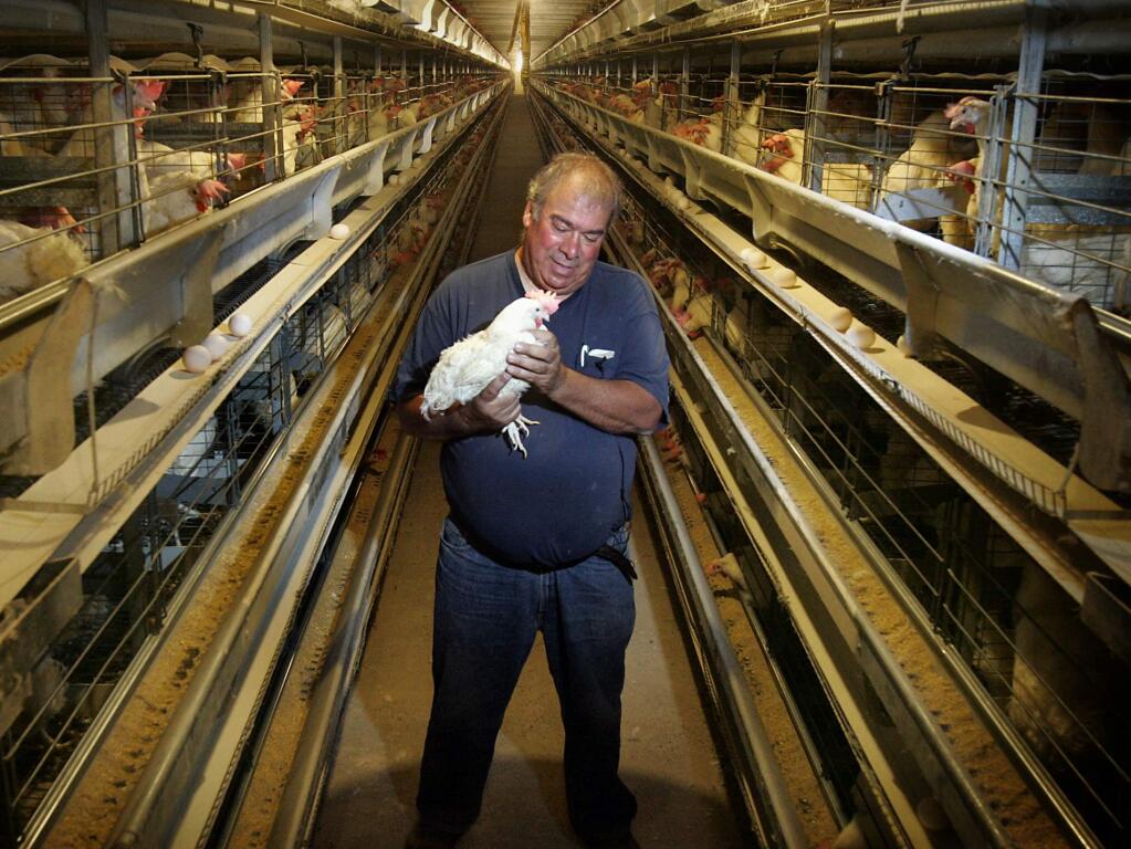 Arnie Riebli, owner of Sunshine Farms, stands in one of his chicken barns in this undated photo. (Index-Tribune file photo)