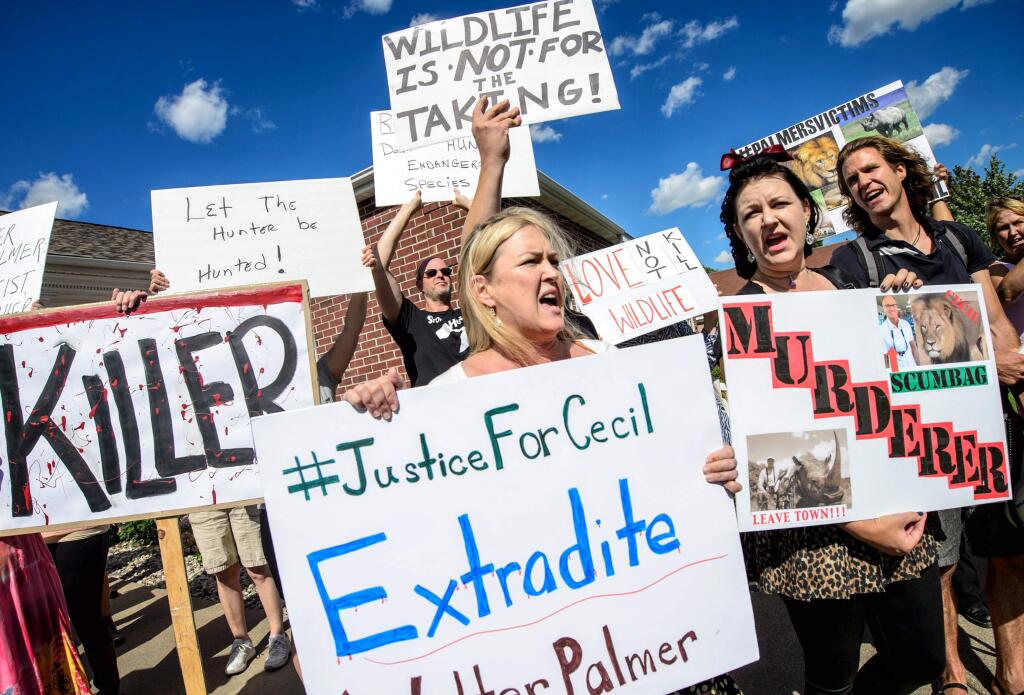 Kristen Hall leads a group of protestors from Animal Rights Coalition and Minnesota Animal Liberation gathered in front of Dr. Walter Palmer's dental practice, Wednesday, July 29, 2015, in Bloomington, Minn. Palmer has been under fire since his involvement in the death of Cecil the Lion became public. (Glen Stubbe/Star Tribune via AP)