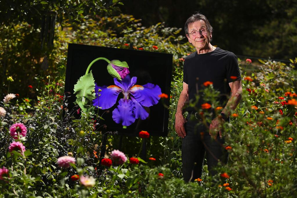 Artist Peter Krohn creates scanographic fine art of natural botanical objects, many of which he finds in his own garden.(Christopher Chung/ The Press Democrat)