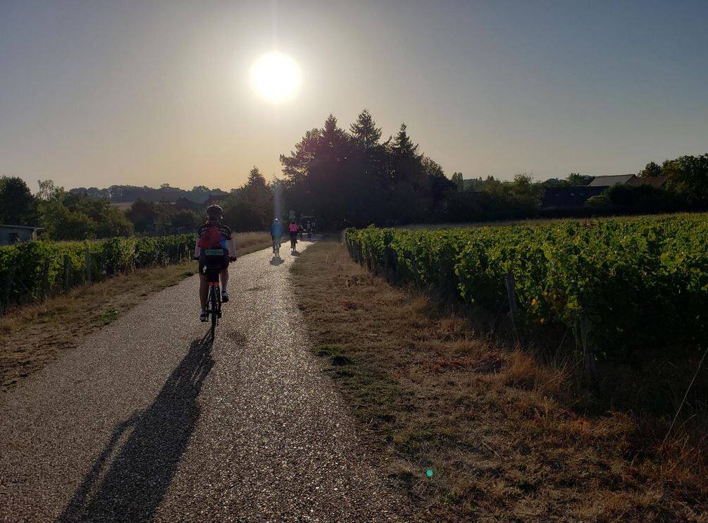 Riding along the picturesque Loire-a-velo route in France, looks like Sonoma County. Jose Martinez photo.