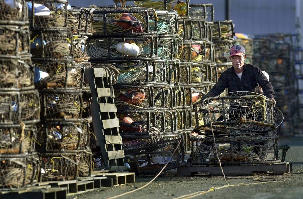 PC: Dan Nguyen of the A more A out of Bodega Bay readies crab pots Tuesday Dec. 3, 2001 near Spud Point Marina in preparation of strike delayed opening of crab season, that will begin 6 AM Wednesday Dec. 4, 2001.12/5/2001: B1-C: Dan Nguyen of the A more A out of Bodega Bay readies crab pots Tuesday near Spud Point Marina. Local Dungeness crab could be in the stores by Friday.