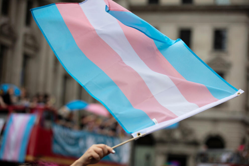 A transgender flag. (Ink Drop/Shutterstock)