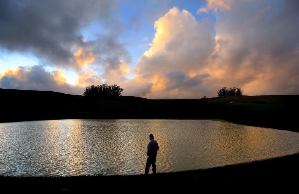 Don DeBernardi of Two Rock looks over a farm pond that has benefited slightly from the recent rains. Even then, there was no visible run-off into the pond after the rain stopped, an indicator that the ground is soaking up most of the water, Wednesday, Dec. 3, 2014. (KENT PORTER/ PD)
