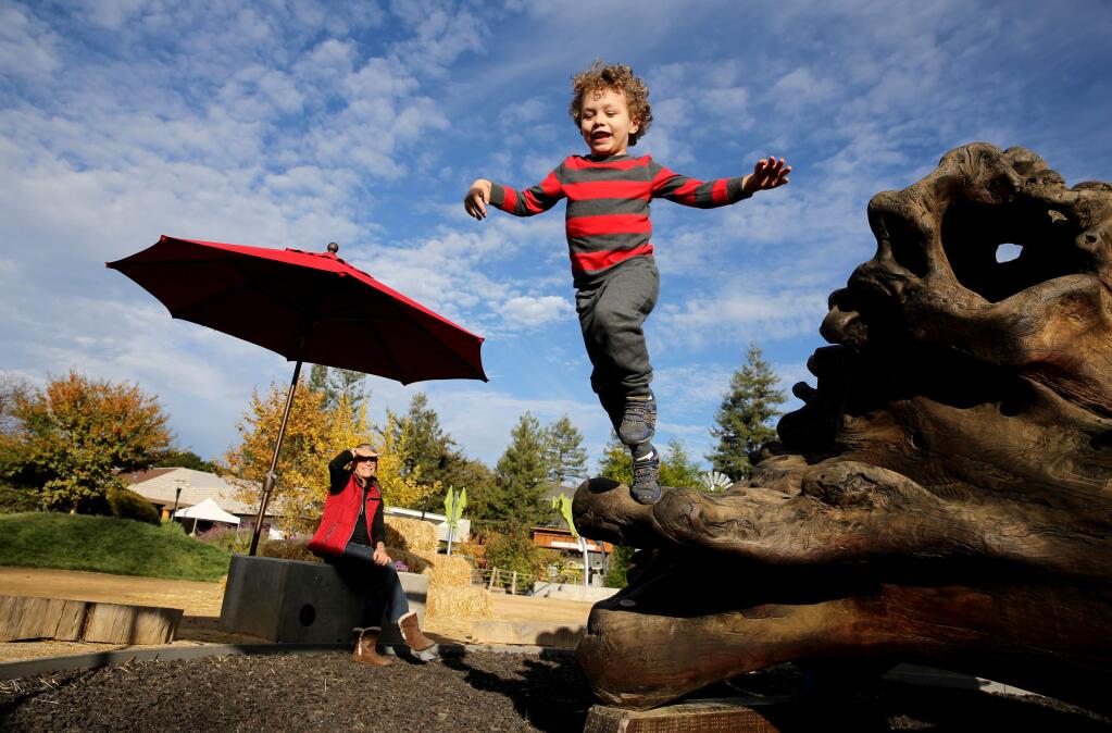 Teddy Falbo, 4, jumps off the 'Megaflora' sculpture while Sue Campbell watches at the Children's Museum of Sonoma County in Santa Rosa on Monday, November 26, 2018. (BETH SCHLANKER/ The Press Democrat)
