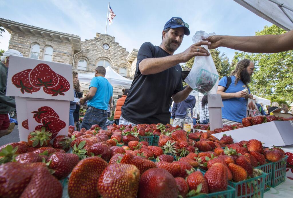 Jerome Baker treated himself to some fresh fruit from RHJ Organic Strawberries. Produce, live music, food tents and trucks brought a large crowd to the Plaza for the first of 2016's Tuesday Night Farmers Markets. (Photos by Robbi Pengelly/Index-Tribune)