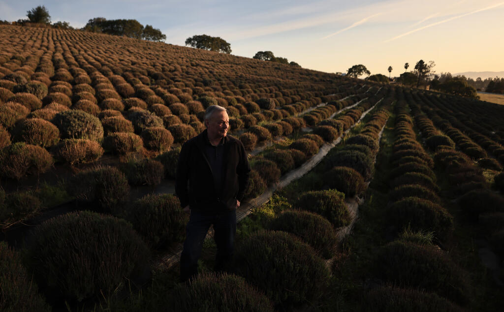 Bill MacElroy, owner of the Monte-Bellaria di California lavender farm near Bloomfield, Thursday, April 13, 2023. (Kent Porter / The Press Democrat) 2023