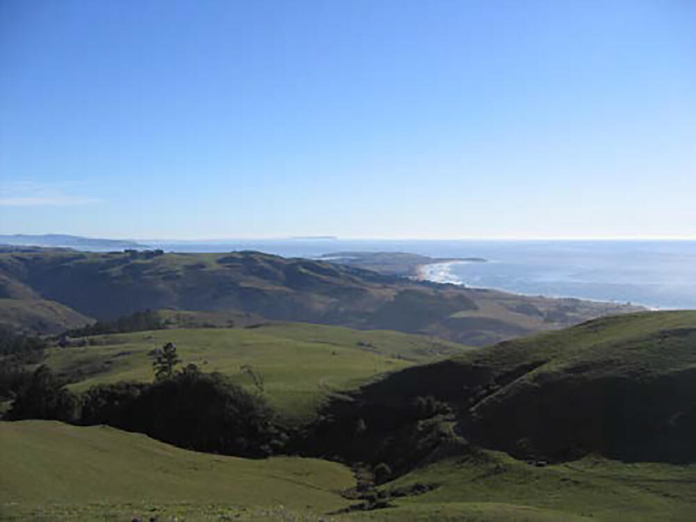 View of Bodega Head from Wright Ranch (Ag + Open Space photo)