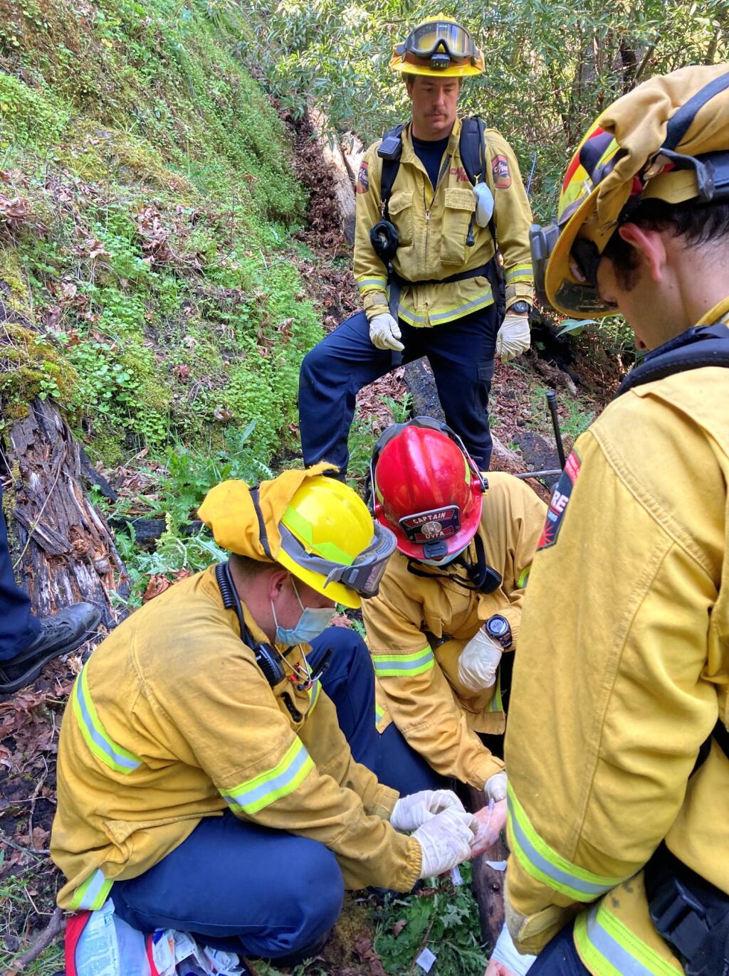 A crew with Henry 1 assisted Ukiah Valley Fire Authority and Cal Fire in rescuing a woman from the Montgomery Woods State Natural Reserve. (Sonoma County Sheriff’s Office / Facebook)