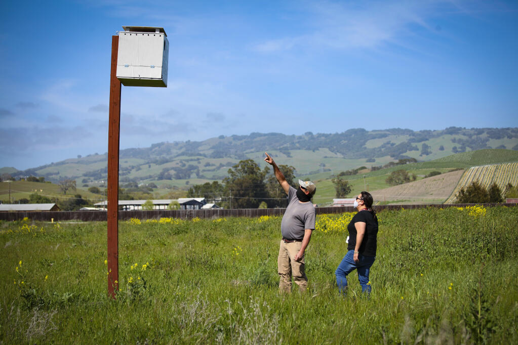 Cindy Chong, Petaluma’s Parks and Facilities maintenance manager, right, looks on as Jeff Bart, parks lead, gestures toward one of the city’s new owl nesting boxes Tuesday near the Petaluma Community Sports Fields on East Washington Street in Petaluma.  (CRISSY PASCUAL/ARGUS-COURIER STAFF)