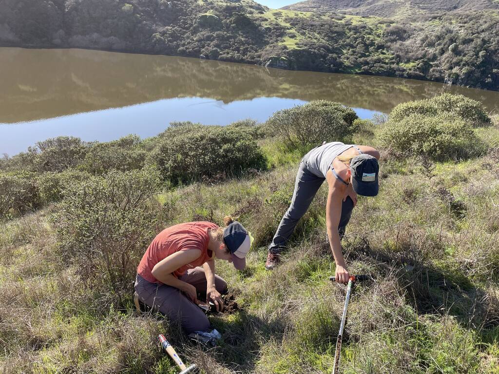 Point Blue Conservation Science biologist Hillary Allen, left, and Shanti Edwards with Sonoma Land Trust conduct soil monitoring and sampling at Estero Americano, a preserve on the Sonoma Coast. (Photo by Sophie Noda courtesy of Point Blue)