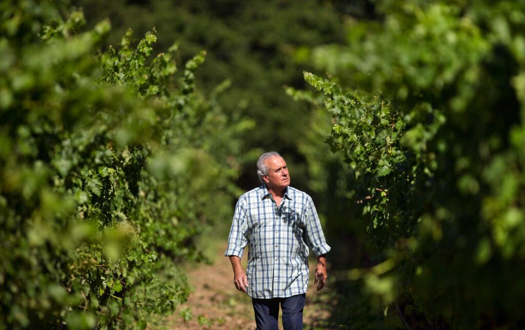 Three years after the bank took over his B.R. Cohn wine label, Bruce Cohn is back with Trestle Glen Vineyards wine made from the 21-acre vineyard he was able to keep. (photo by John Burgess/The Press Democrat)