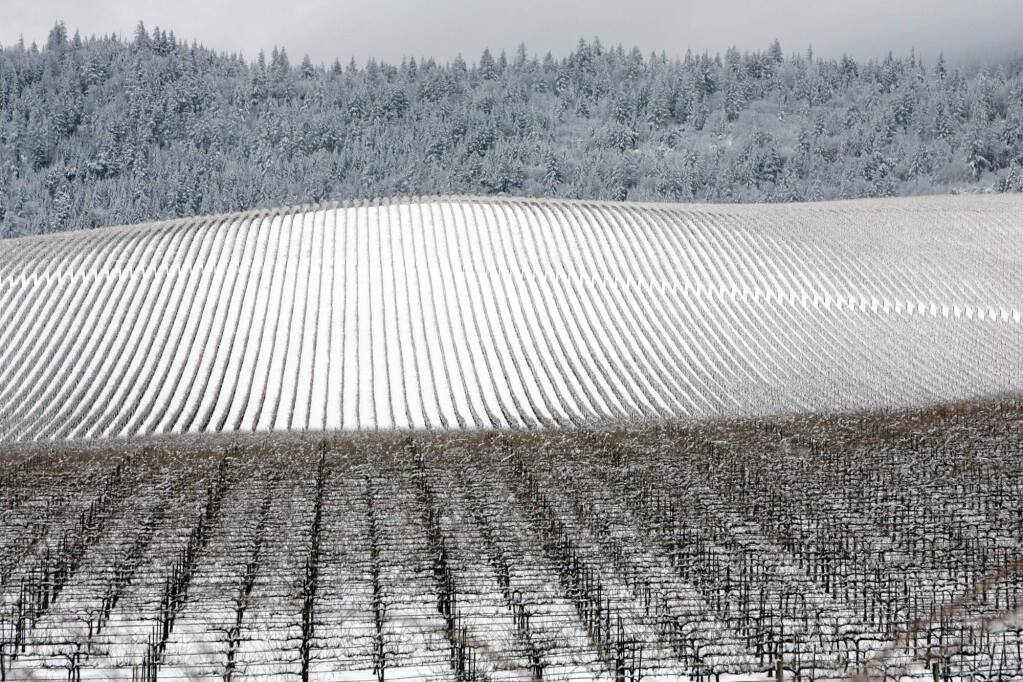 Snow-covered Beckstoffer Vineyards along Highway 29 in 2008. (John Burgess/ PD File)