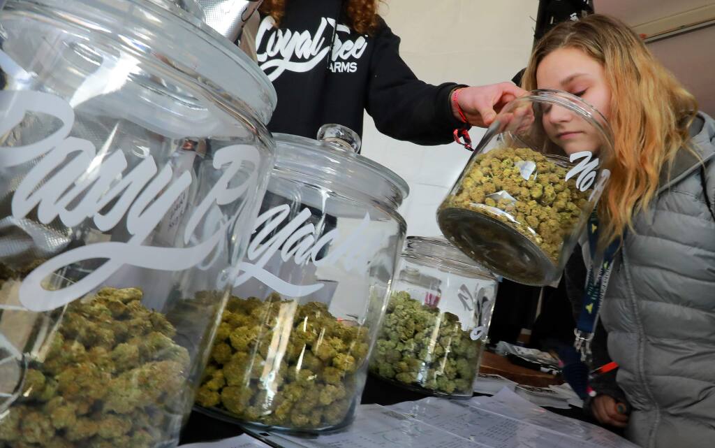 Isabella Rader of Santa Rosa takes a deep smell of cannabis flowers at the 17th annual Emerald Cup festival at the Sonoma County Fairgrounds on Saturday, December 9, 2017. (photo by John Burgess/The Press Democrat)