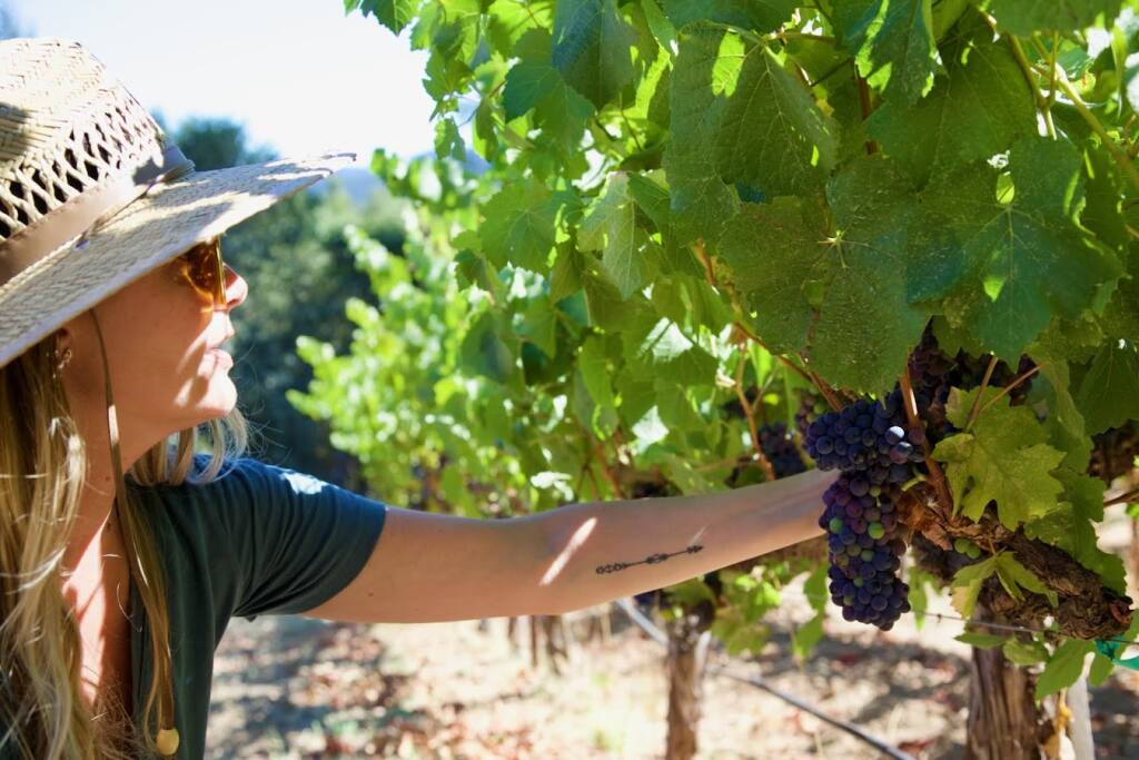 Ashley Holland, co-founder and winemaker at Read Holland winery in Santa Rosa. (Mary Zeeble photo)