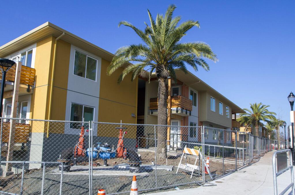The iconic palm trees that were removed from the area when the MidPen Fetters Apartments project on Highway 12 in the Springs began, have now been returned and replanted.