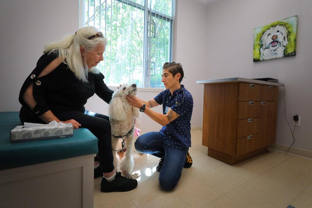 Veterinarian Dr. Ada Morris, right, examines Diane Hamilton's poodle, Sophie, at the Community Veterinary Clinic in Santa Rosa on Monday, August 19, 2019. Hamilton and her dog evacuated the Journey's End mobile home park during the Tubbs fire. (Christopher Chung/ The Press Democrat)