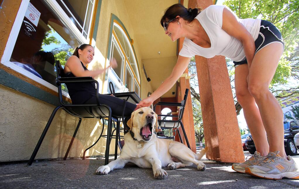 Diane Illia, right, pets Tarryn Mattheis' yellow Labrador retriever, Max, at the Starbucks Coffee on the Windsor Town Green, on Sunday, October 12, 2014. (Christopher Chung/ The Press Democrat)