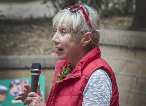 Karen Collins, shown here at the 2015 Arbor Day celebration on the Plaza, was named the city's next Alcalde, or honorary mayor, in recognition of her longtime dedication to local conservation.