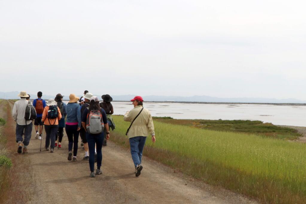 Hikers set out on the 2.5 mile Eliot Trail on the May 5 Baylands Discovery Walk, sponsored by the Resilient by Design challenge to deal with sea-level rise. (Christian Kallen/Index-Tribune)