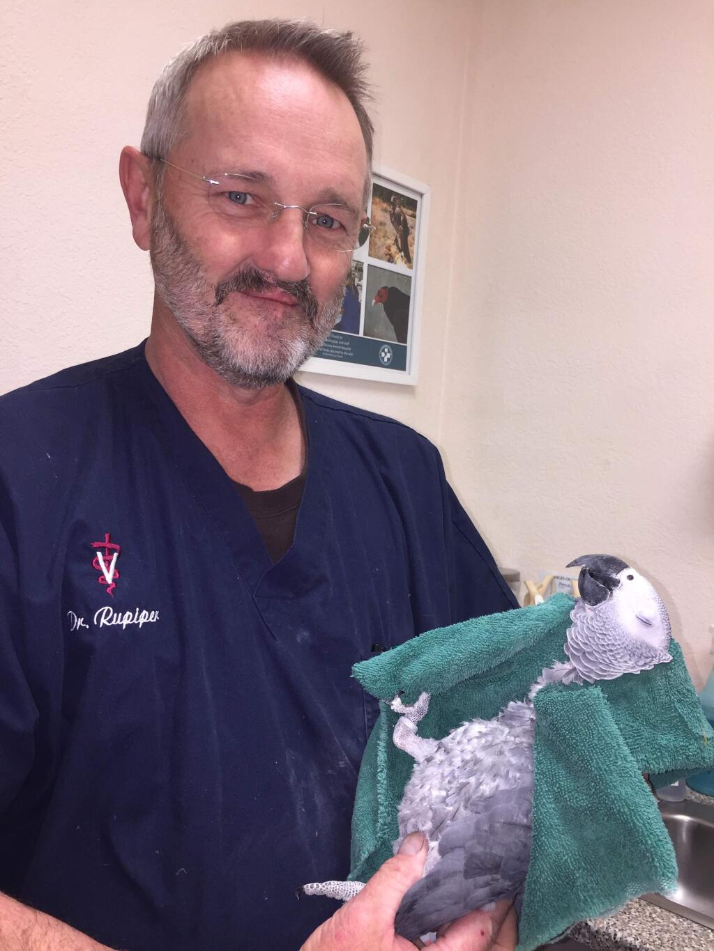 Dr. Dave Rupiper, with Lily (wrapped in towel), at East Petaluma Pet Hospital