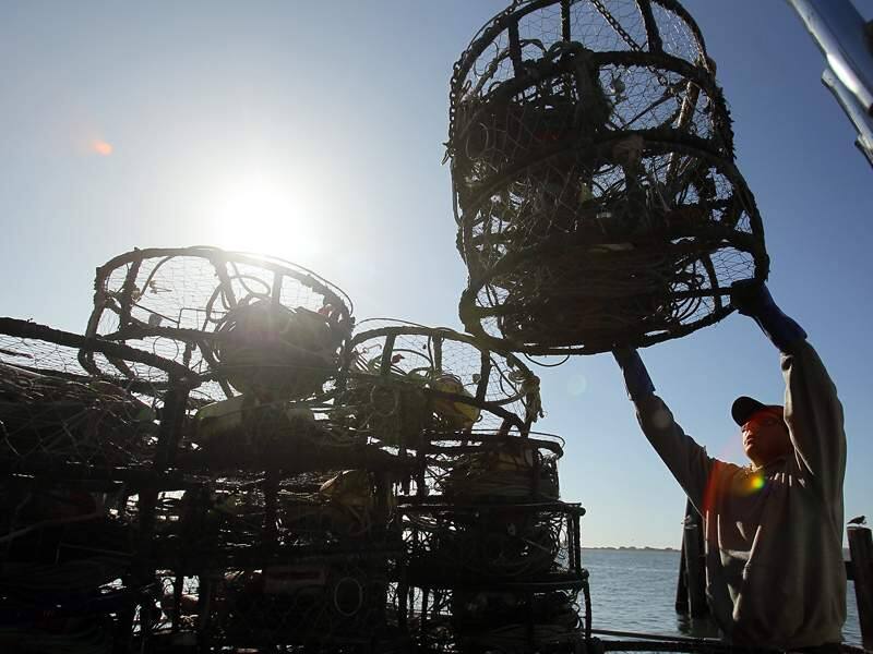 Ted Frank loads crab pots onto the “Dandy” at the Tides Wharf in Bodega Bay. (The Press Democrat, undated)