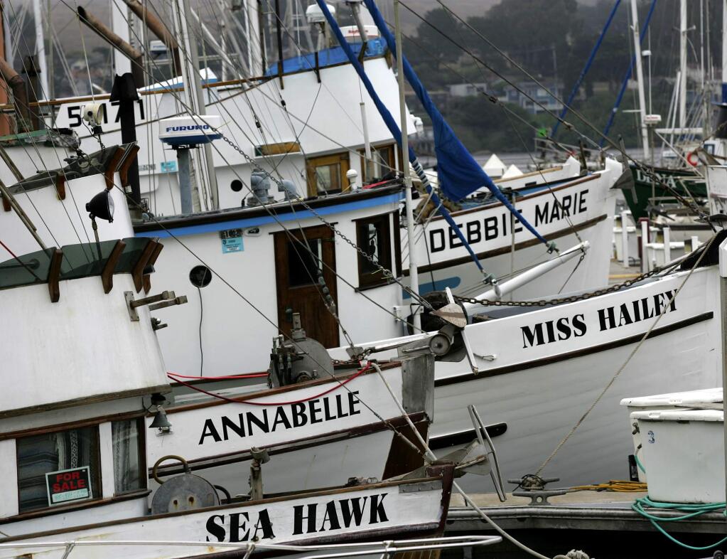 Spud Point Marina in Bodega Bay is full of salmon fishing boats Monday Aug. 8, 2005, waiting for crab season as this years upwelling has caused small salmon catches. (Chad Surmick / The Press Democrat)