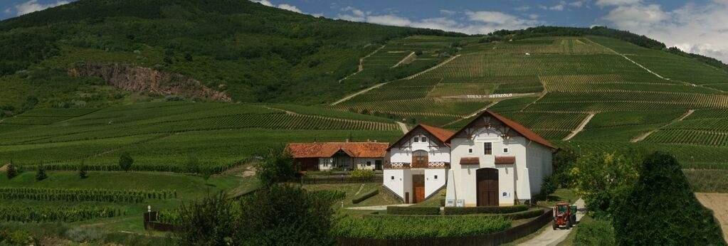 A winery in Tokaj, Hungary — Sonoma’s Sister City.