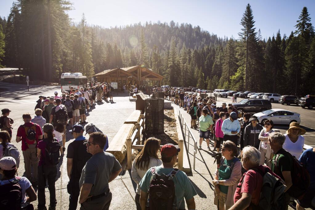 Hundreds of visitors line up early in the morning to ride shuttle buses to Mariposa Grove in Yosemite National Park after it was reopened last summer. (MAX WHITTAKER / New York Times)