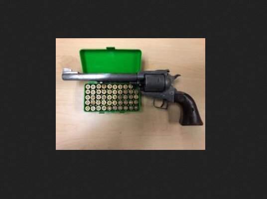 Police arrested a 23-year-old man after finding a gun and ammunition during a search of his Hearn Avenue home on Thursday, Nov. 15, 2018. (SANTA ROSA POLICE)