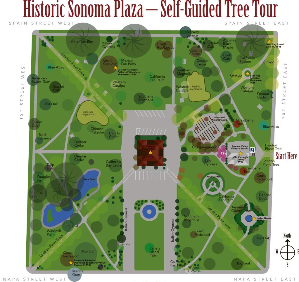 The self-guided Plaza tree tour is available at the Sonoma Valley Visitors Bureau.