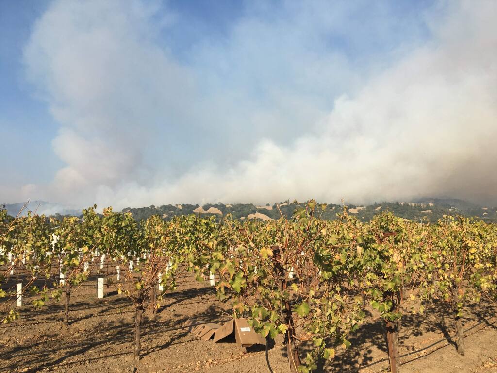 Smoke from the Pocket fire billows Wednesday over the Mayacamas Mountains on the east side of the Alexander Valley on Oct. 11, 2017, as seen from vineyards off River Road north of Highway 128 outside Geyserville. (J.D. Morris/ The Press Democrat)