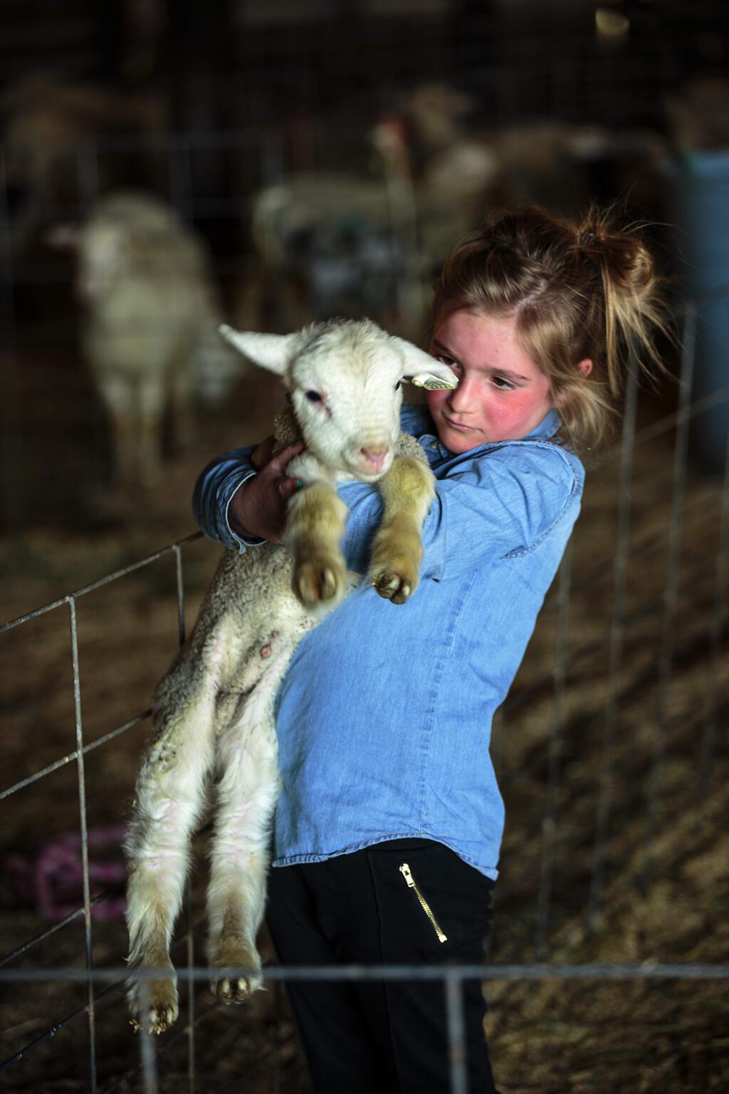 Hadley Adiego gives one of the lambs a hug.