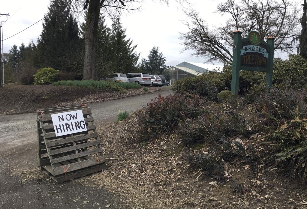 This March 2, 2017, photo shows a sign saying 'Now Hiring' in front of Brooks Tree Farm near Salem, Ore. Farmers, nursery and winery owners and others who depend on immigrant labor are predicting a catastrophe as federal immigration agents focus on stepping up arrests of people who are in America illegally. (AP Photo/Andrew Selsky)