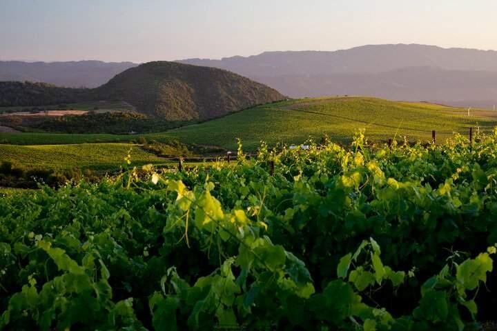 Gallo purchased Stagecoach Vineyard in Napa's Atlas Peak region, which comes with 600 planted acres. (FACEBOOK)