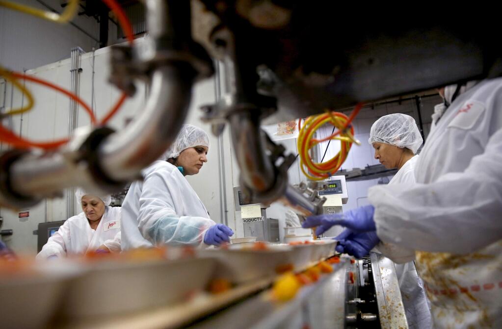 Amy's Kitchen employees Maria Angeles Lopez, Seema Radi, Felisa de los Santos de Ramirez, and Maria Guadalupe Cardenas put together Thai red curry frozen meals bound for Germany at the production plant on Wednesday, March 11, 2015. (BETH SCHLANKER/ The Press Democrat)