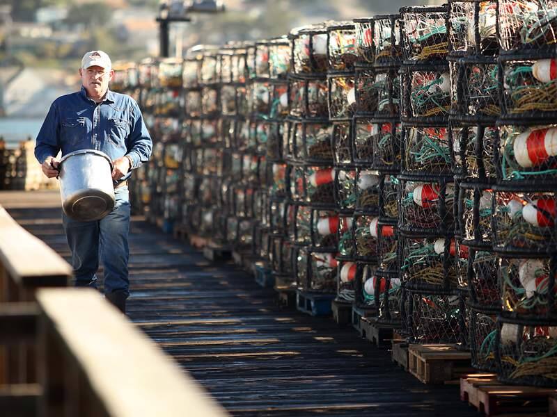 Sport fisherman Chuck Bartley, of Santa Rosa, walks past the commercial crab pots lined up along the dock at Paisano Brothers Fisheries in Bodega Bay on Wednesday, November 10, 2010.