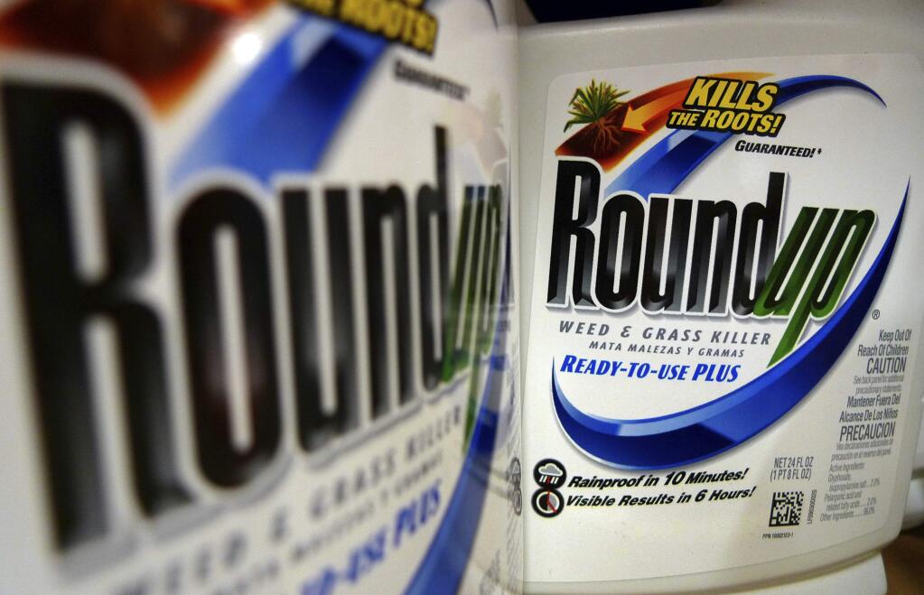 FILE - In this June 28, 2011, file photo, bottles of Roundup herbicide, a product of Monsanto, are displayed on a store shelf in St. Louis. Agribusiness giant Monsanto is asking a San Francisco judge to throw out a jury's $289 million award to a former school groundskeeper who said the company' Roundup weed killer left him dying of cancer. (AP Photo/Jeff Roberson, File)