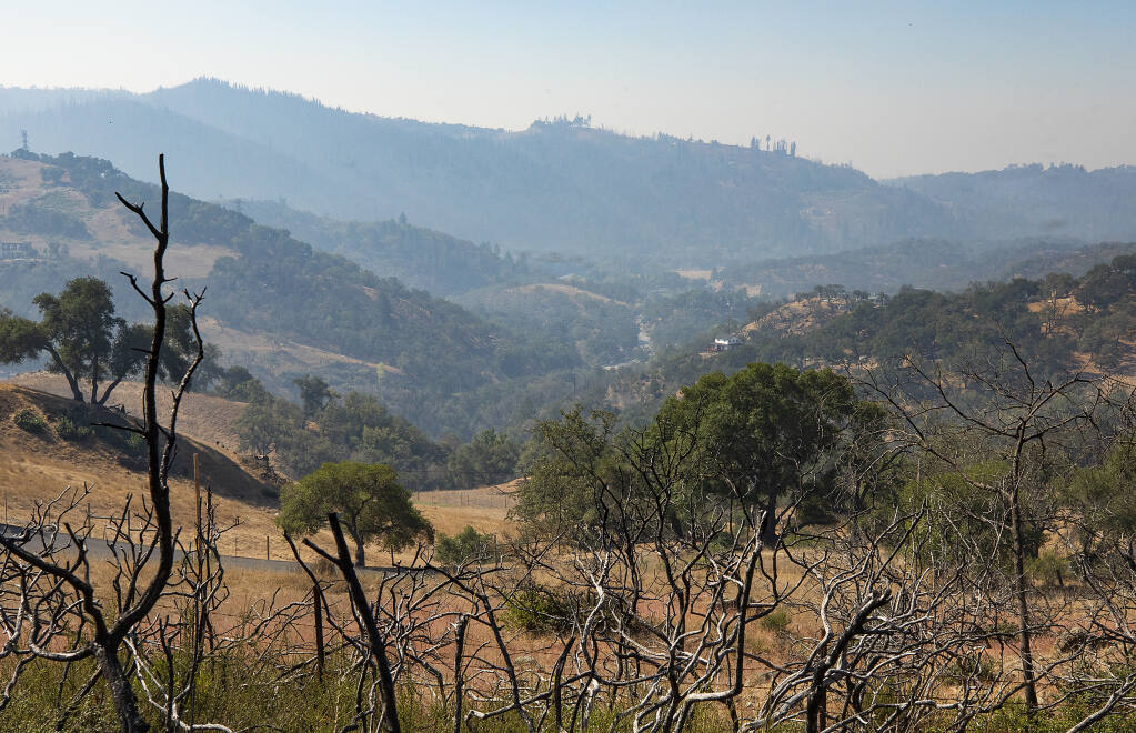 The view of the Mark West corridor looking southwest from Franz Valley Rd. on Saturday, September 4, 2020. Fire survivors hope county supervisors will use PG&E settlement funds to remove old dead trees and vegetation management.  (Photo by John Burgess/The Press Democrat)