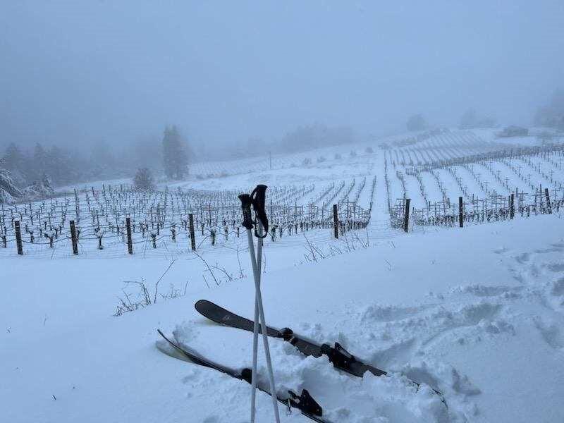 Snow falls on Korbin Kameron Vineyards above Sonoma Valley. (Korbin Ming)