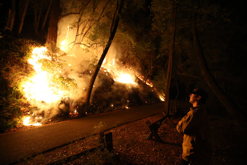 A firefighter monitors the Walbridge fire as it slowly burns inside Armstrong Redwoods State Natural Reserve. (BETH SCHLANKER / The Press Democrat, 2020)