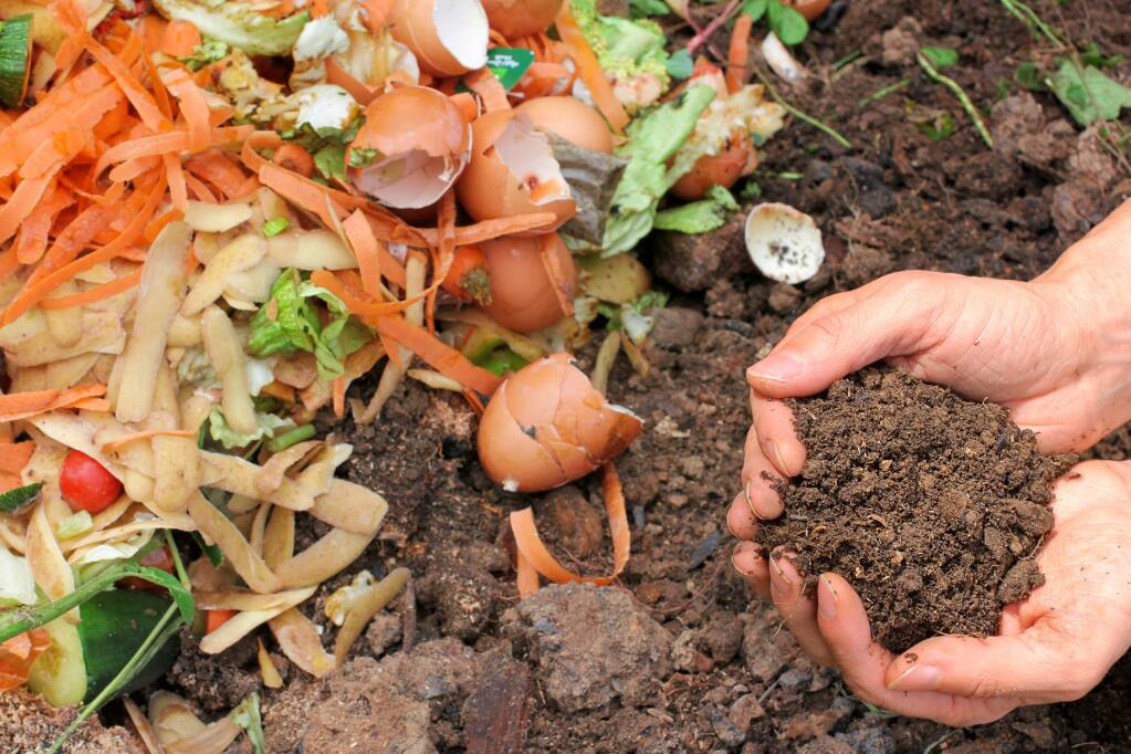 The essential foundation to a healthy garden is adding compost to your soil.