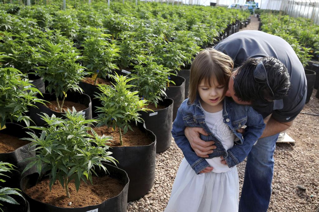 FILE - In this Feb. 7, 2014 photo, Matt Figi hugs and tickles his once severely-ill 7-year-old daughter Charlotte as they walk around inside a greenhouse for a special strain of medical marijuana known as Charlotte's Web, which was named after Charlotte early in her treatment, at a grow location in a remote spot in the mountains west of Colorado Springs, Colo. Figi, the Colorado girl with a rare form of epilepsy whose recovery inspired the name of a medical marijuana oil that drew families to the state has died. The non-profit organization co-founded by her mother says Charlotte, now 13, Figi died Tuesday, April 7, 2020. It didn't say how she died. A post on her mother's Facebook page said she was recently hospitalized and a virus had infected her whole family. (AP Photo/Brennan Linsley, File)
