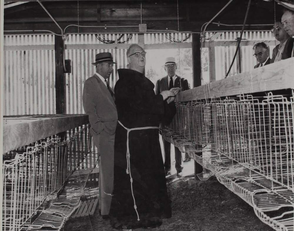 Rev. Alffred Boeddeker tours a few memberos of the nonprofit's board of directors through St. Anthony's chicken farm.(SONOMA COUNTY LIBRARY HERITAGE COLLECTION)