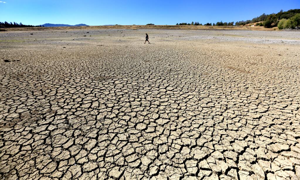 Ukiah resident Billy Edwards walks the parched lakebed of Lake Mendocino in Ukiah on Tuesday, Sept. 14, 2014. (KENT PORTER/ PD)