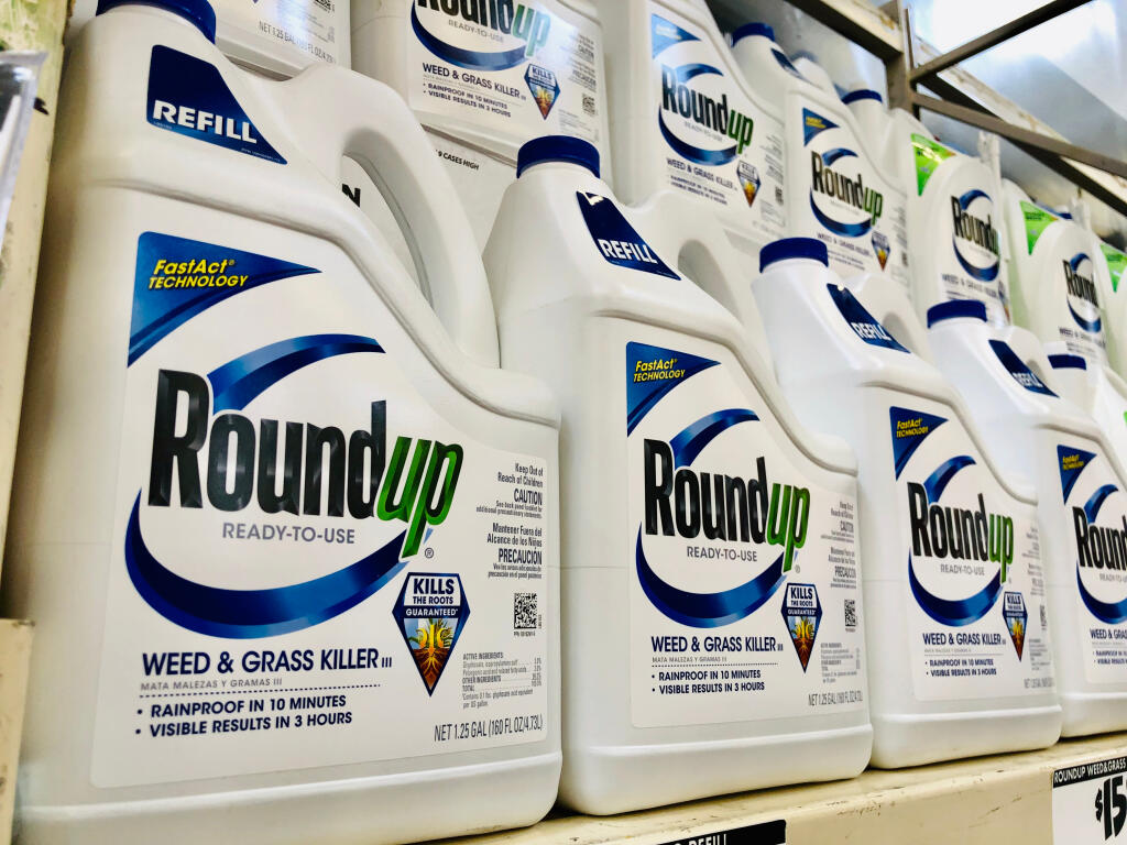 Gallons of RoundUp weed killer spray for sale at Home Depot. While RoundUp is banned by the County of Sonoma, it is still used by Caltrans. Stock photo.