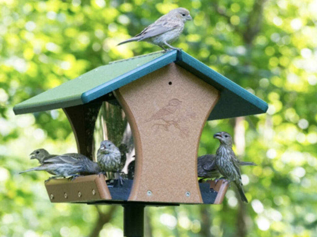 WBU foundational feeder. (Photo: Wild Birds Unlimited)