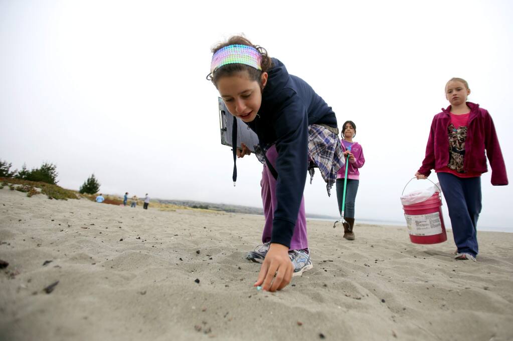 Sebastopol Independent Charter's Elah Shaw, 11, picks up a piece of plastic at Doran Beach in Bodega Bay picking up trash during the Coastal Cleanup Day in 2012. (PD FILE)