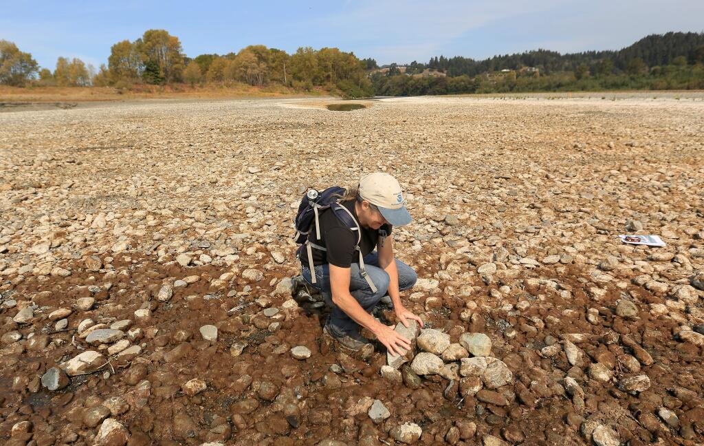 PHOTO: 1 by KENT PORTER / The Press DemocratMargaret Tauzer, a hydrologist with the National Oceanic and Atmospheric Administration, uses rocks to mark where water from the Eel River still stands on Thursday in Fortuna. In less than 30 minutes, the water had receded nearly seven feet.