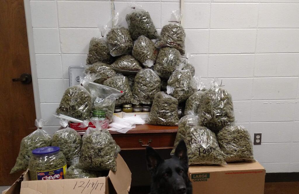 Marijuana seized during the arrest of a Lake County couple in Nebraska (York County Sheriff's Department)