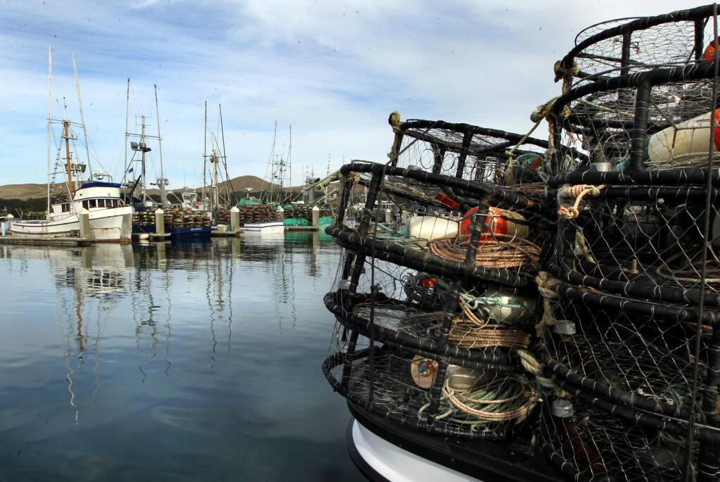 Crab boats loaded and ready to go at Spud Point Marina in Bodega Bay in a 2014 file photo.
